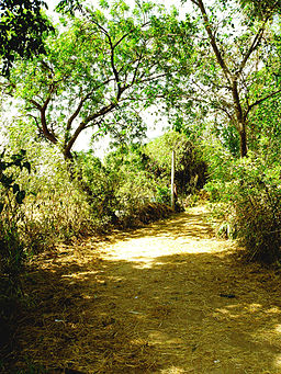 Rural road